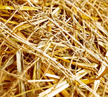 Western Green - Excel SR-1AN - Biodegradable Single Net Straw - 8' x 112.5'