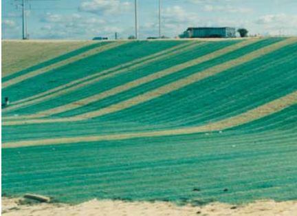 Curlex installed in field to help grass germinateinate