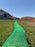 Filtrexx SiltSoxx 8" x 200' - Green/Black