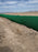 Filtrexx SiltSoxx 8" x 200' - Green/Black