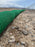 Filtrexx SiltSoxx 8" x 200' - Green/Black