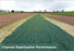 Western Green - Excel PP5-12 - Double Net TRM - 8' x 112.5'