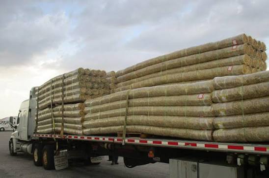 Western Green - ECSC-3 - Triple Net Straw/Coconut TRM - 8' x 112.5'
