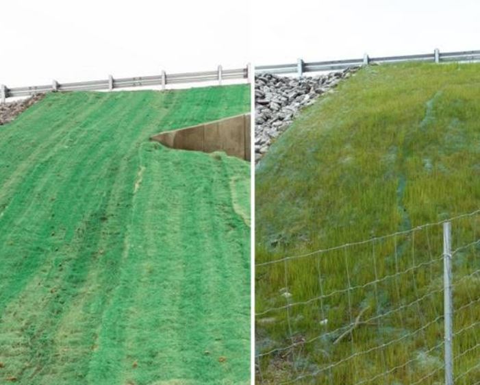 Curlex I - Erosion Control Blanket - 4' x 112.5' (Green)