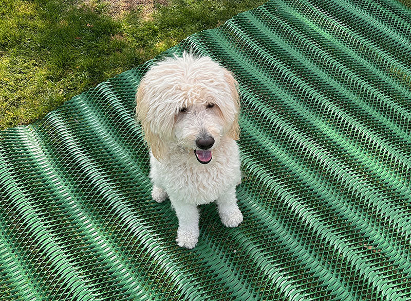 Turf Reinforcement Mats — Eastgate Supply