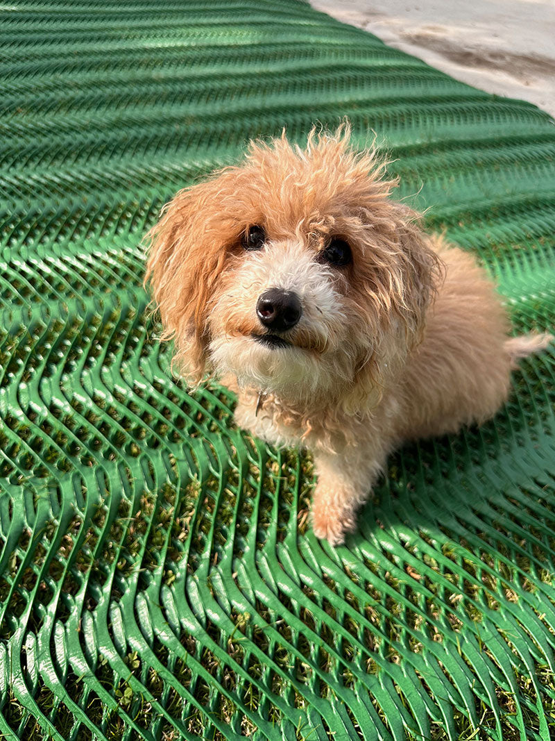 EnkaMat 7010 - Turf Reinforcement Mat — Eastgate Supply