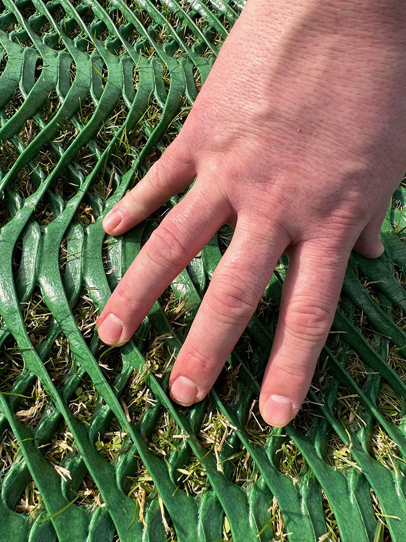 Grass Protection Mesh