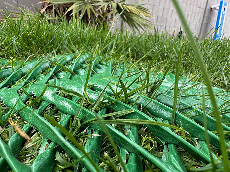 Grass Protection Mesh