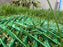 Grass Protection Mesh
