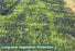 Western Green - ECP-3 - Triple Net Poly Matrix TRM - 8' x 112.5'