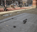 Drainage Mat Roll