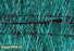 Western Green - Excel PP5-10 - Double Net TRM - 8' x 112.5'