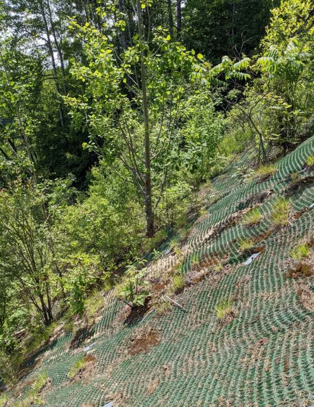 Pyramat erosion control mat on a steep slope
