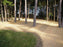 Straw blankets used in wooded area