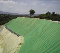 Curlex Enforcer TRM installed on hillside to help prevent erosion