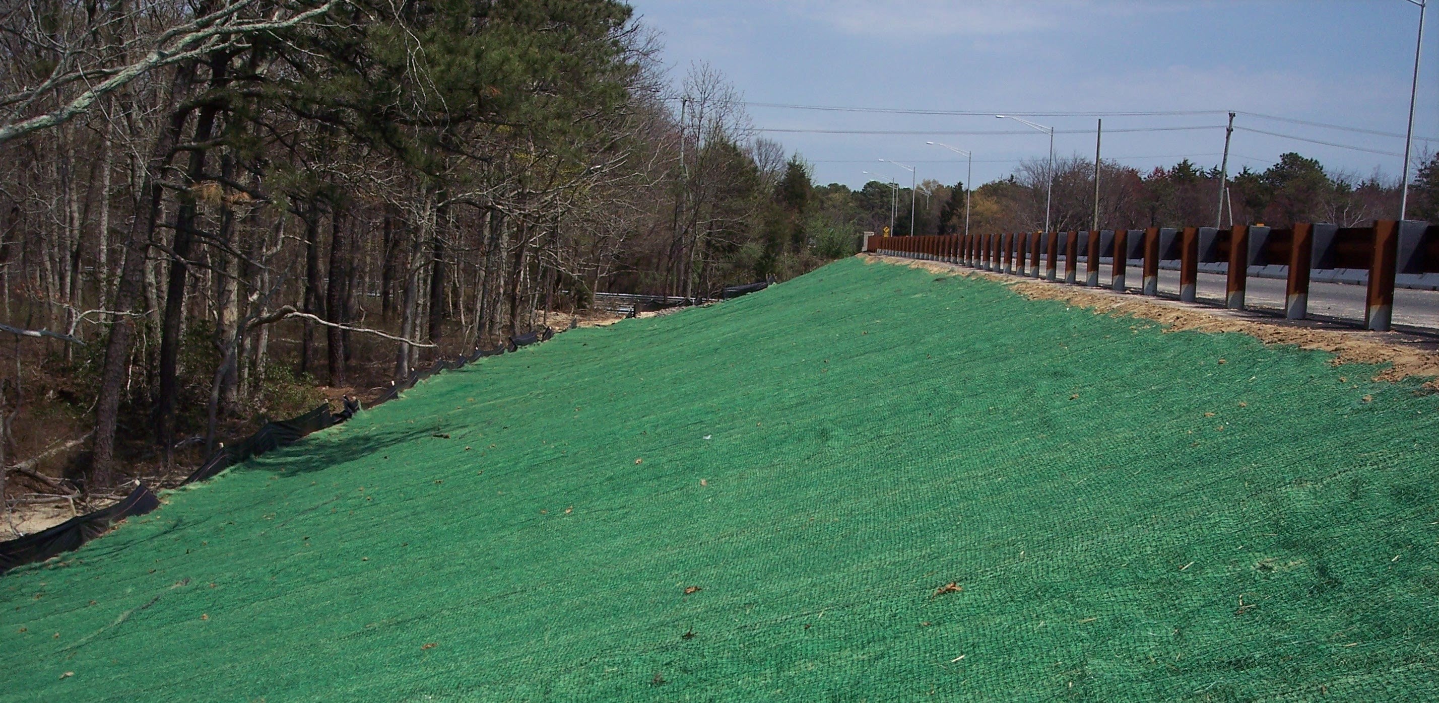 Curlex Enforcer Along a hillside