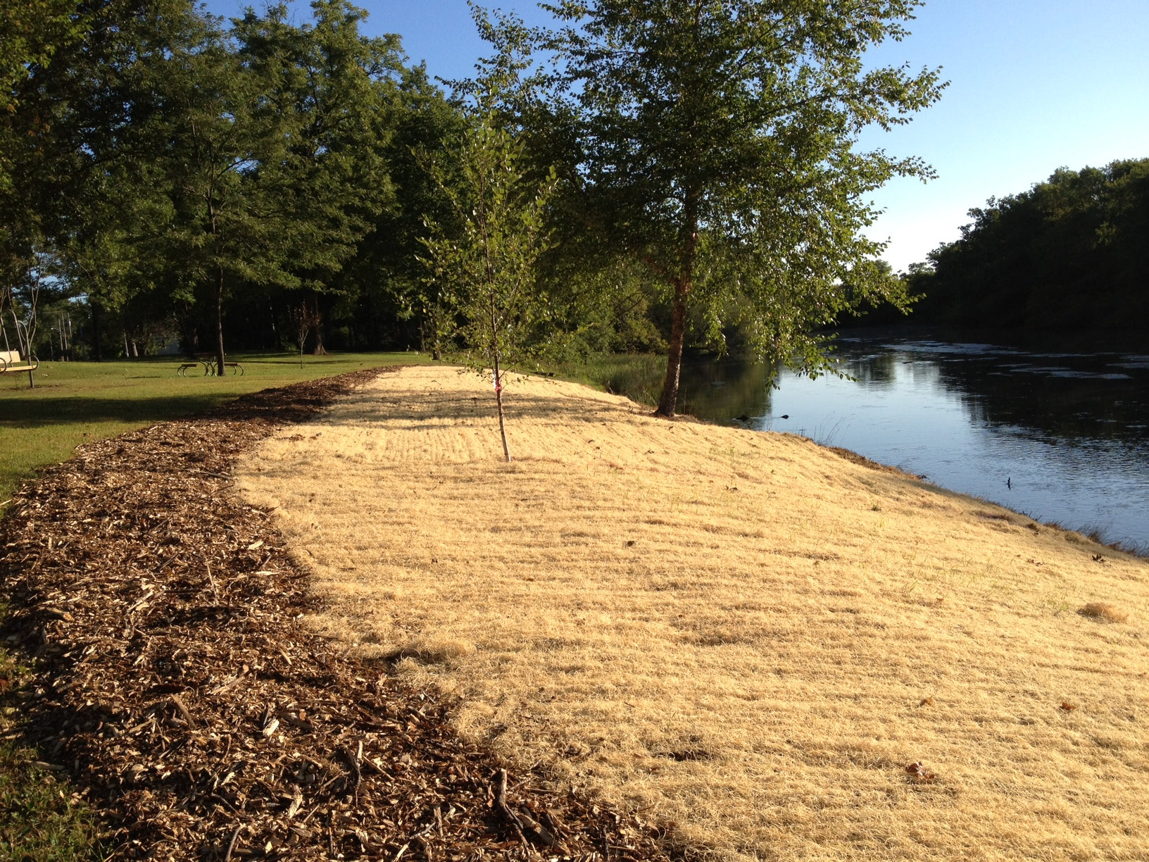 Curlex NetFree On River side