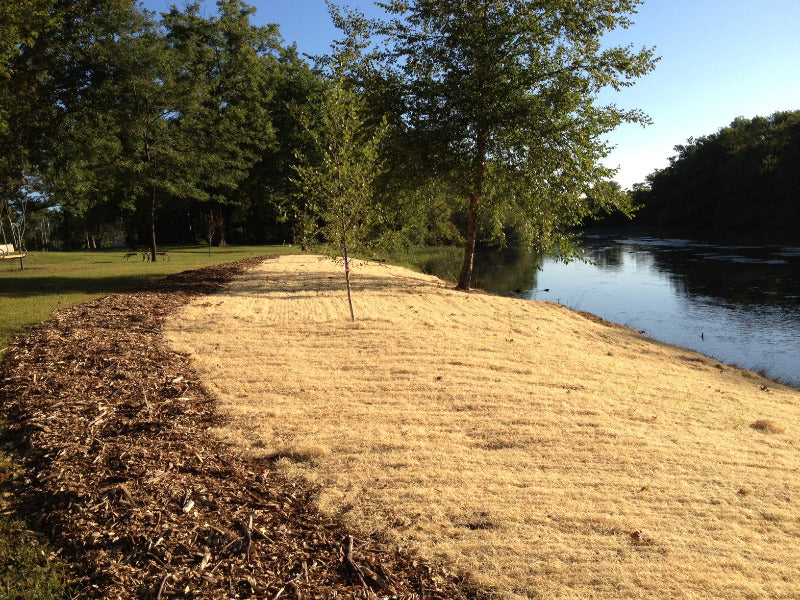 Curlex NetFree On River side