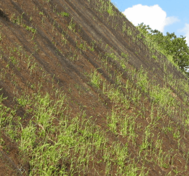 Slope Grid - Hillside Erosion Control — Pro Fabric Supply
