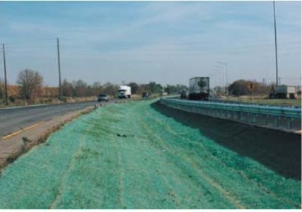 Green Curlex on side of freeway