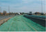 Green Curlex on side of freeway