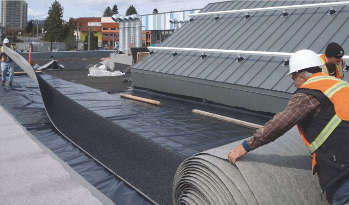 Green Roof Drainage Layer