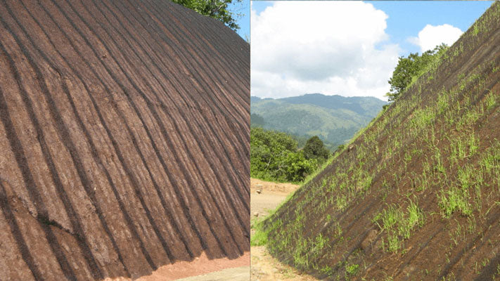 Erosion Control on Steep Slopes and Embankments - Denbow