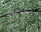 Landlok 450 - Turf Reinforcement Mat - 16' x 140'