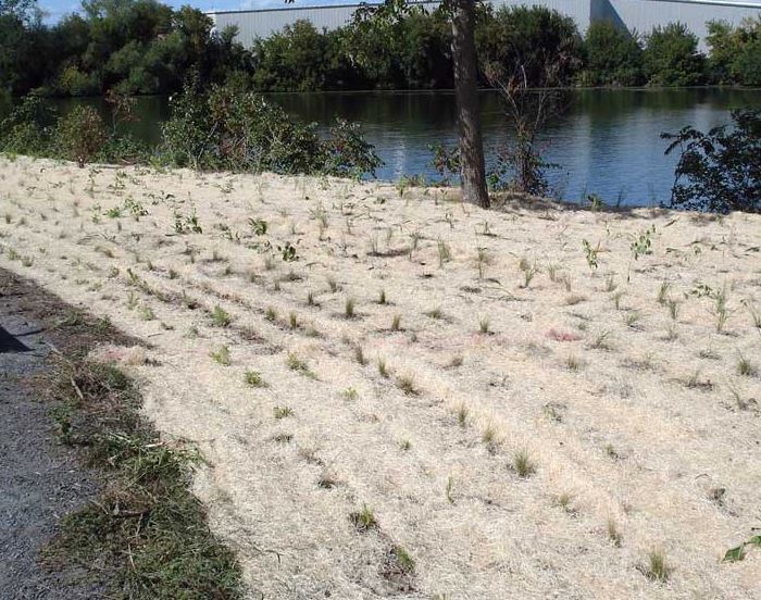 Curlex Curlex - Erosion Control Blankets — Eastgate Supply